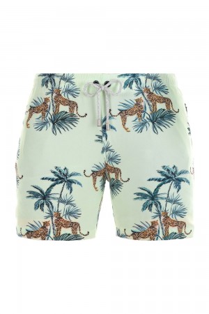 Aqua Young LA 128 Abstract Swim Shorts '22 NZ | 1539786-WB