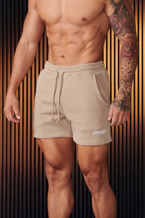 Beige Young LA 107 - Chrome Shorts NZ | 6820359-JN