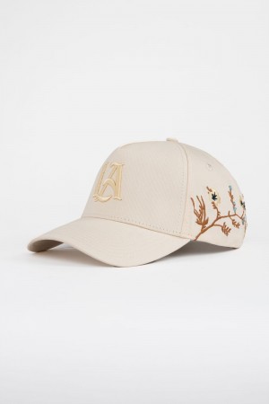 Beige Young LA 918 La Branch Hats NZ | 1873504-AM