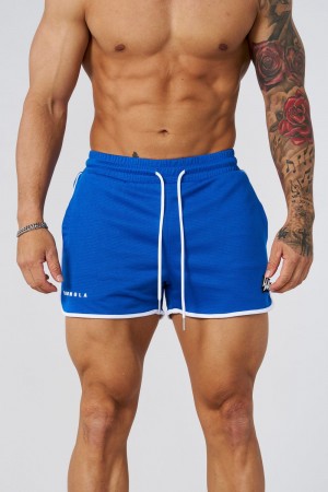 Blue Young LA 1037 - Mesh Bodybuilding Shorts NZ | 1386472-GV