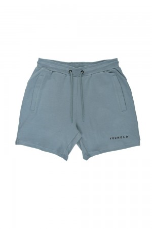 Blue Young LA 118 The Perfect Shorts NZ | 7362895-DG