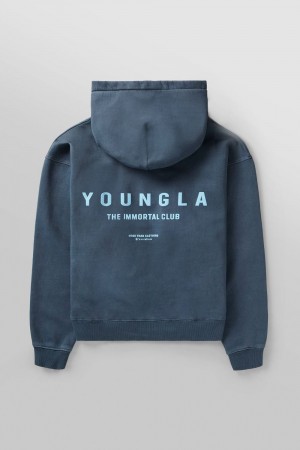 Blue Young LA 533 - Immortal Club Hoodies NZ | 1563208-FC