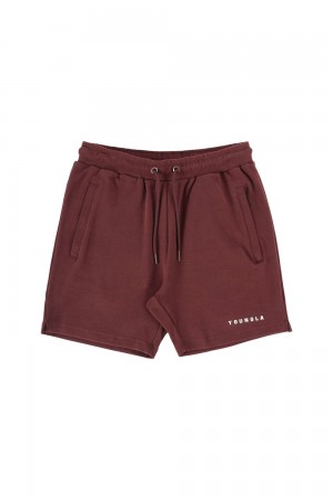 Burgundy Young LA 118 The Perfect Shorts NZ | 7194208-WH