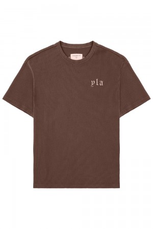 Dark Brown Young LA 427 Summer Waffle Tees NZ | 1549283-RJ