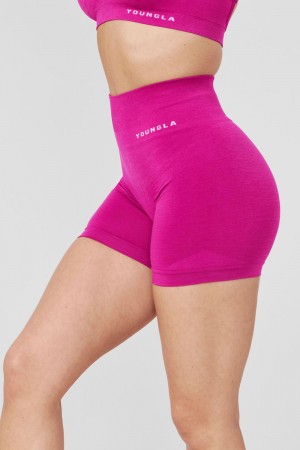 Fuchsia Young LA W120 - Core Seamless Shorts NZ | 2435796-AV