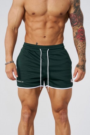 Green Young LA 1037 - Mesh Bodybuilding Shorts NZ | 3750842-RD