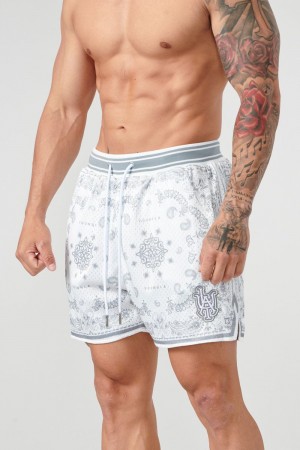 Grey Young LA 132 Infamous Bandana Shorts NZ | 5847120-ZB