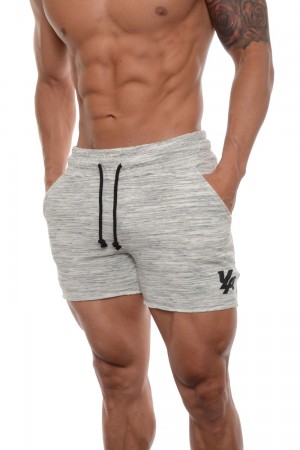 Light Grey Young LA 102 Bodybuilding French Terry Shorts NZ | 9587410-NI