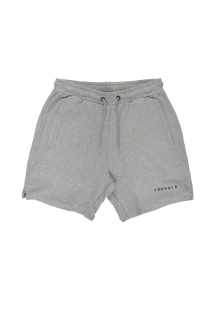 Light Grey Young LA 118 The Perfect Shorts NZ | 8305176-ER