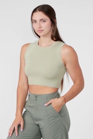 Olive Young LA W317 Knit Tank NZ | 5128769-LO
