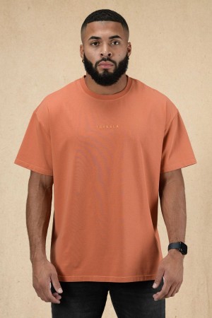 Orange Young LA 420 Essential Oversized Tee NZ | 2486931-NL