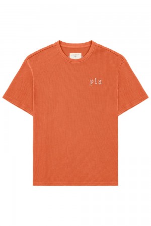 Orange Young LA 427 Summer Waffle Tees NZ | 7183962-OX