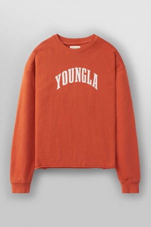 Orange Young LA 826 - Uni Crewneck NZ | 1352690-LH