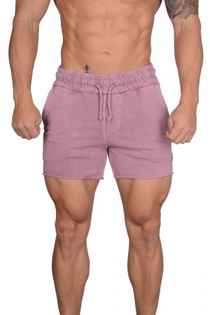 Purple Young LA 102 Bodybuilding French Terry Shorts NZ | 3619250-ML