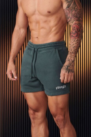 Teal Young LA 107 - Chrome Shorts NZ | 9675340-LI
