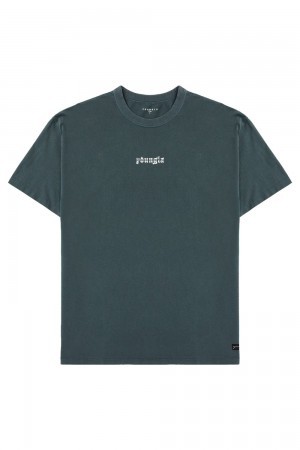 Teal Young LA 471 Chrome Tees NZ | 2584076-KN