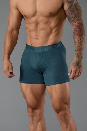 Teal Young LA 703 Goat Briefs NZ | 8159046-PQ