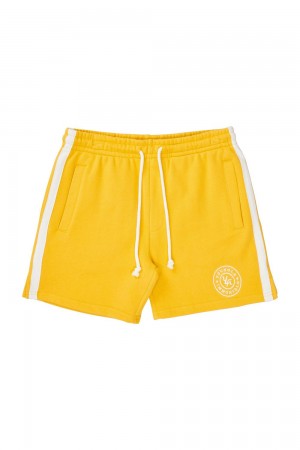 Yellow Young LA 137 - Golden Era Bodybuilding Shorts NZ | 4672385-RP